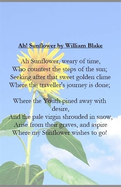 Attention Required! | Cloudflare | Sunflower poem, Inspirational quotes ...