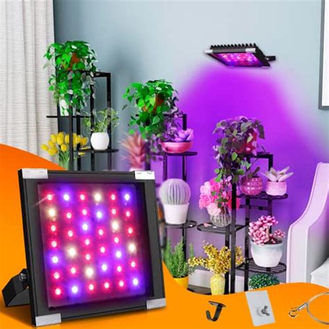 Best Wall-Mounted Plant Lights To Brighten Any Room