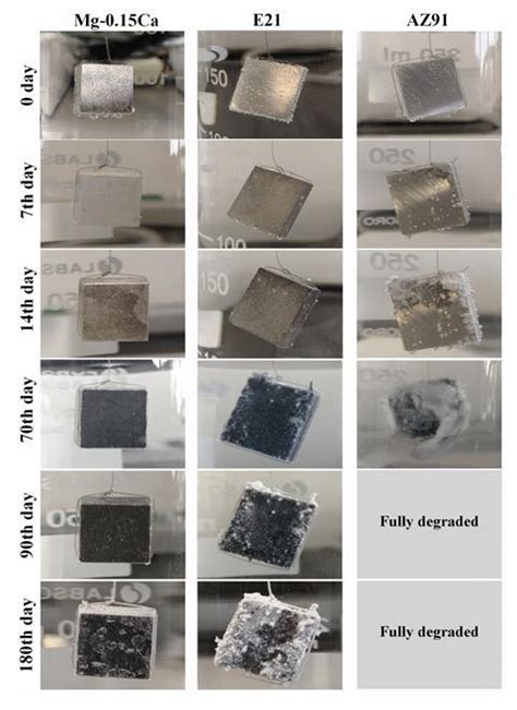 New magnesium alloy shows exceptional corrosion resistance | Research ...