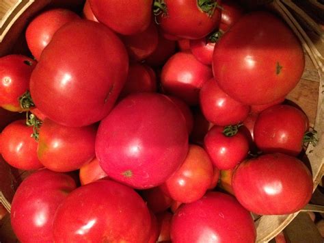 RED, RED tomatoes !!! | Red tomato, Red, Happy colors