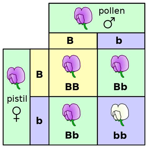 Difference Between Classical and Modern Genetics | Compare the ...