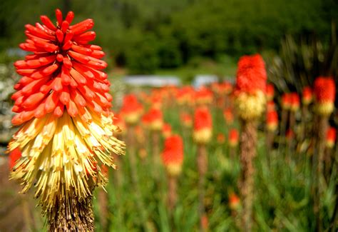 Oregon Coastal Flower Farm - North Coast Food Trail