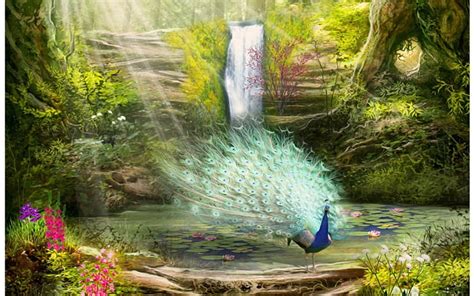 Peacock paradise, paradise, peacock, flower, waterfall, lake, HD ...