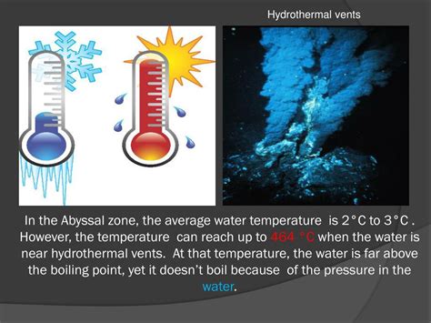 PPT - The Abyssal Zone PowerPoint Presentation, free download - ID:2131216