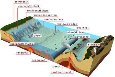 Bottom Topography Of Ocean - Geography Notes - For W.B.C.S. Exam.