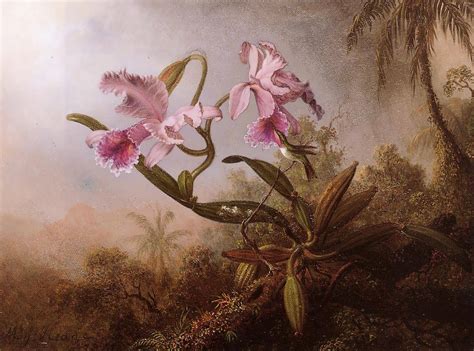 TROPICALIZER: Martin Johnson Heade // Orchids and Hummingbirds