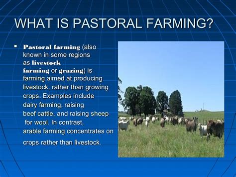 Pastoral farming