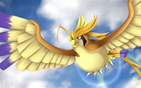 Shiny Mega Pidgeot | Pokemon, Pidgeotto, Pokemon amv