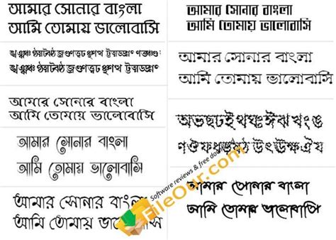 Bijoy Bangla Font Free Download | 1028 Bijoy Bayanno Font