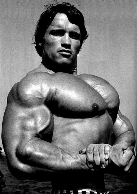 Arnold Schwarzenegger Bodybuilding - Picture Celebrity