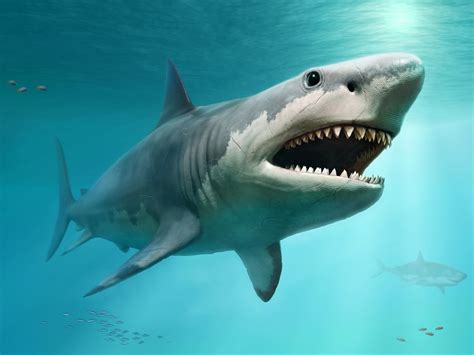 Megalodon Jaws