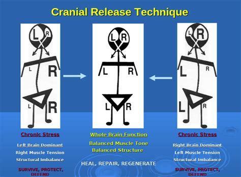 Cranial Release Technique in Ocala, FL | Therapeutic Touch Aesthetics ...