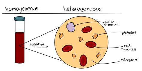 Homogeneous vs. Heterogeneous Mixtures — A Comparison - Expii