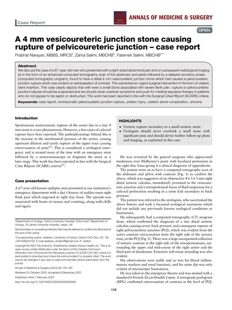 (PDF) A 4 mm vesicoureteric junction stone causing rupture of ...