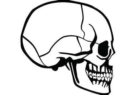 Skull Profile Vector - Download Free Vector Art, Stock Graphics & Images