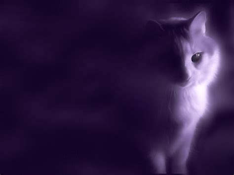 Mystical Cat Wallpaper by C-n-DWallpapers on DeviantArt