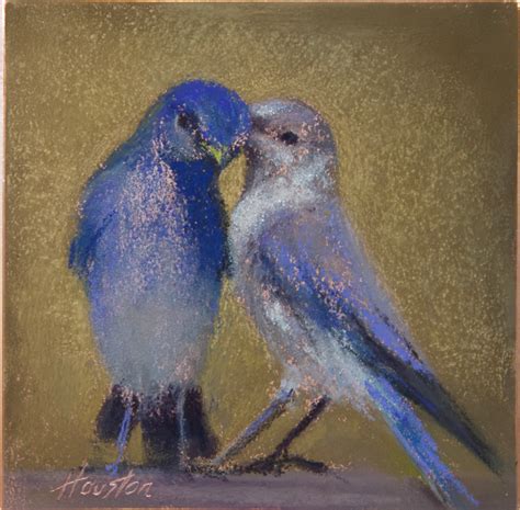 The Birds Collection | Amanda Houston Fine Art Paintings | Fine art ...