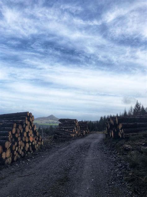 Hiking trail in the Wicklow Mountains, Ireland 🇮🇪 : r/hiking