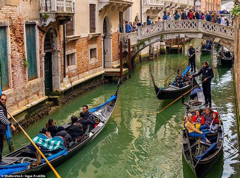 Venice's canals are the cleanest they've been in living memory - Hot ...