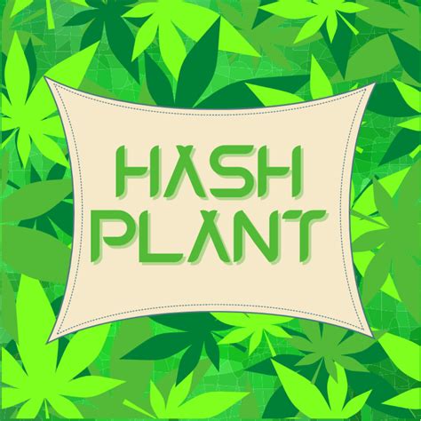 Hash Plant Weed Strain | Buy Hash Plant Cannabis in Canada