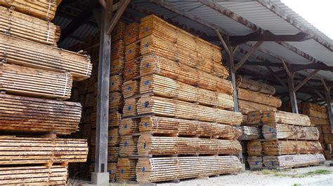 See Which is Best: Kiln Dried vs. Air Dried Logs