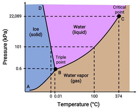 Phase Diagrams: Carbon Dioxide and Water Phase Diagrams - JoVE