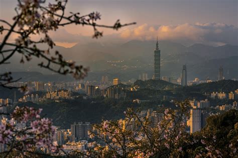 Best places to see cherry blossoms in Taiwan