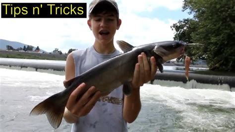 Catfishing tips - Catching Catfish in the Current - YouTube