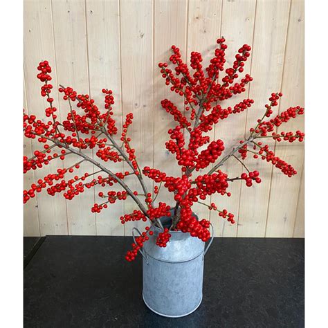 Festive Ilex Berries - Ann Laing Flowers