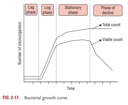 Bacterial Growth Curve