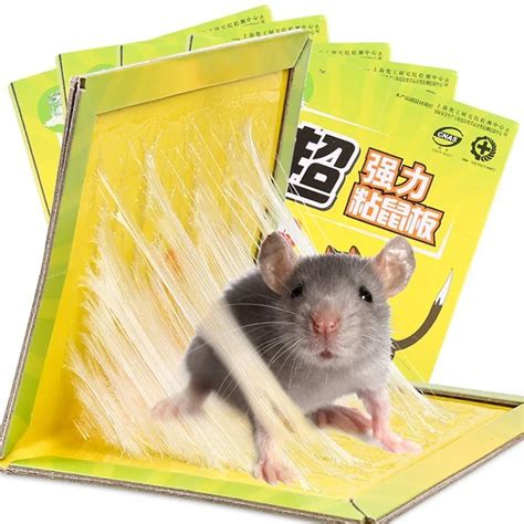 Aliexpress.com : Buy New Super Strong Mouse Glue Traps Sticky Mouse ...