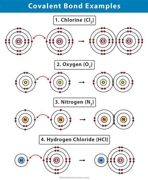 Covalent Bond: Definition, Types, and Examples | Covalent bonding ...