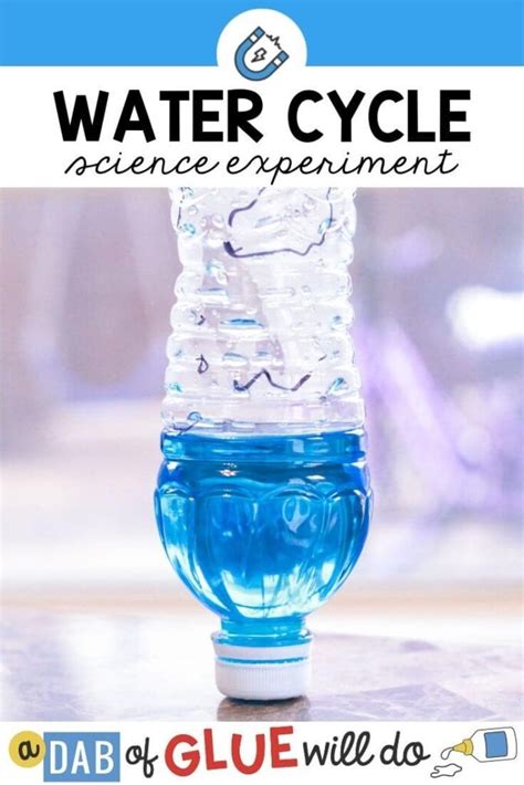 Water Cycle in a Bottle Science Experiment