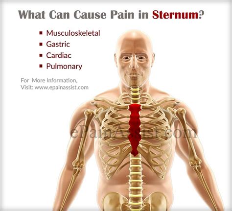 Pain in Sternum|Causes|Symptoms|Treatment