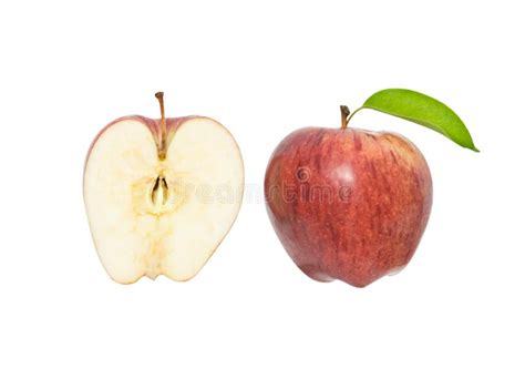 Apple And Its Cross-section Stock Photo - Image of green, fruit: 9294942