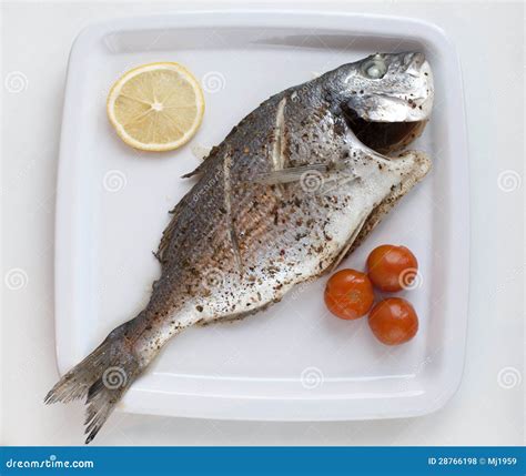 Cooked fish stock photo. Image of catch, tasty, ingredient - 28766198