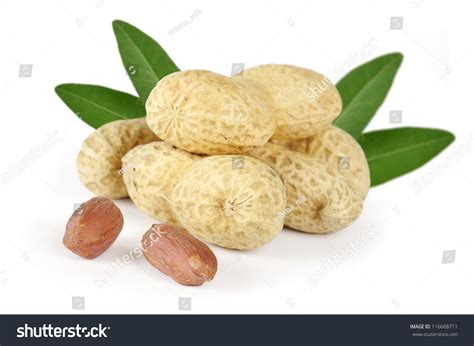 Tasty Peanuts Leaves Isolated On White Stock Photo 116668711 | Shutterstock