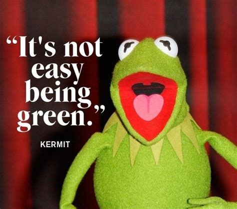 9 Quotes from Kermit the Frog the Puppet with a Lot to Say ...