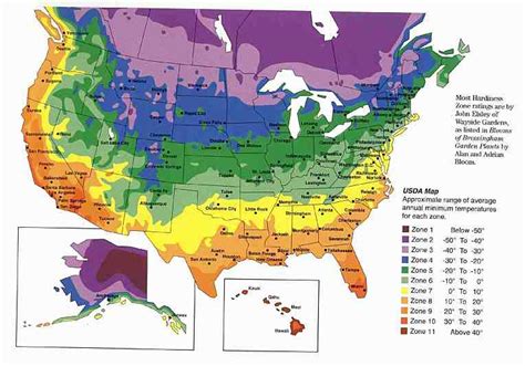 Planting Guide By Zone – Greenside Lawncare