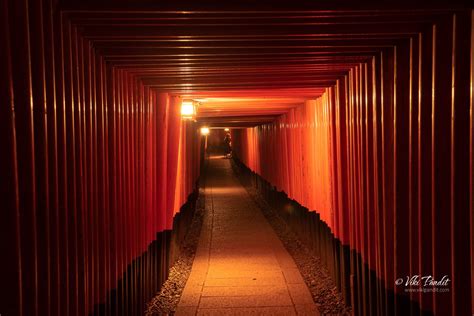 The enchanting Torii Gates of Fushimi Inari Taisha - Rare Photos by ...