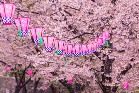 Spring Festivals in Japan | KCP International Japanese Language School