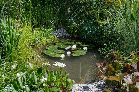 Flowers Planter Terra Cotta on Garden Pond Edge Water Reflections ...