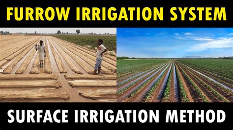 Furrow Irrigation System | Surface Irrigation System | Agriculture ...