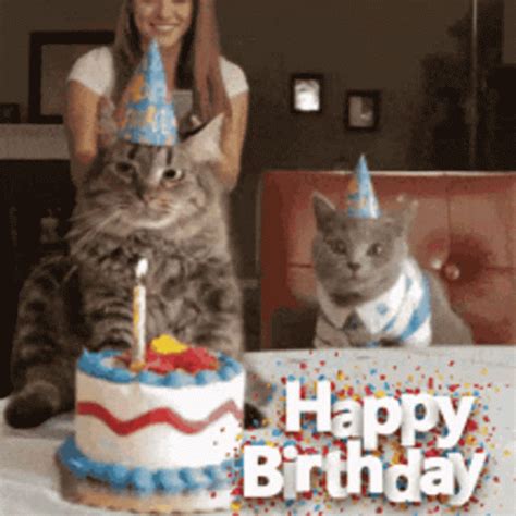 Happy Birthday GIF - Happy Birthday - Discover & Share GIFs