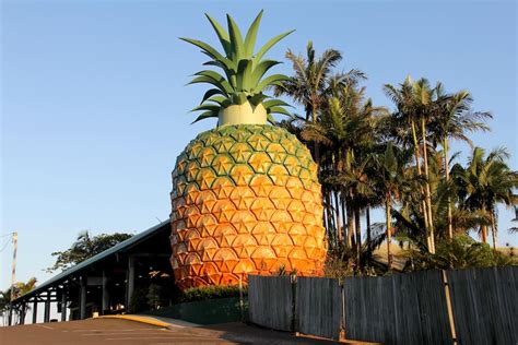 Big Pineapple owners plan revamp of Queensland's iconic tourist ...