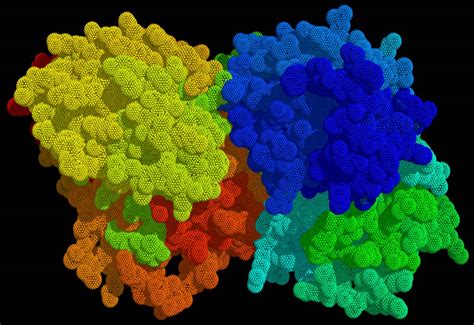 Tubulin Esthetics - Famous Proteins in Frames