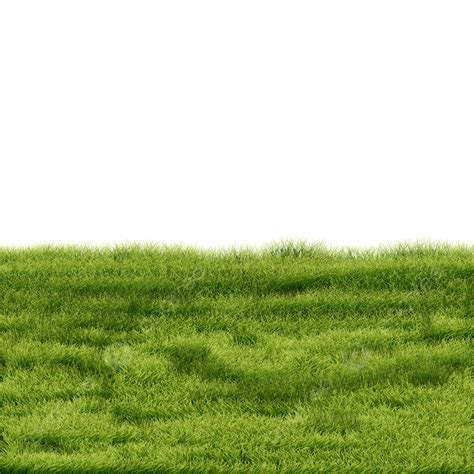 Green Grass, Garden Grass, Grass, Cartoon Grass PNG Transparent Clipart ...