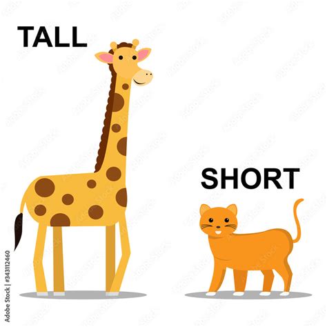 Tall and Short comparison kids vector illustration design Stock Vector ...