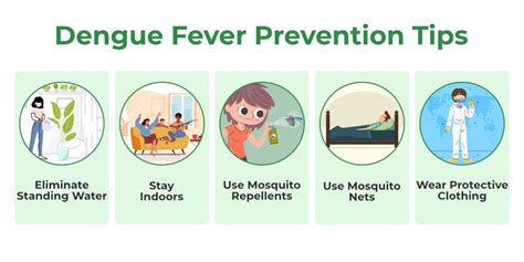 Dengue Fever - Causes, Symptoms, Treatments, and Preventions