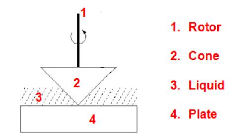 3: Schematic Diagram of a Cone and Plate Viscometer | Download ...